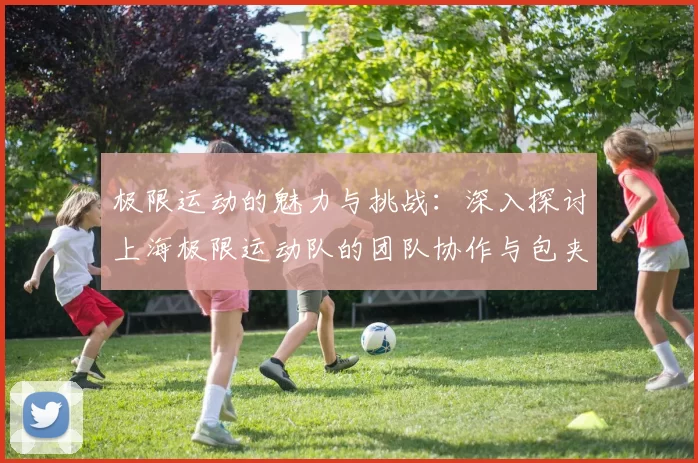 极限运动的魅力与挑战：深入探讨上海极限运动队的团队协作与包夹策略MBA