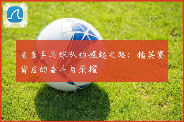 南京乒乓球队的崛起之路：精英赛背后的奋斗与荣耀