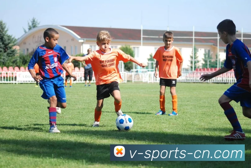 多媒体互动体验